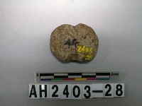 藏品(砝碼型石網墜)的圖片